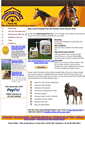 Mobile Screenshot of horseflaxoil.co.uk